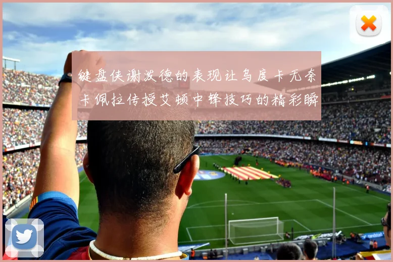 键盘侠谢泼德的表现让乌度卡无奈卡佩拉传授艾顿中锋技巧的精彩瞬间